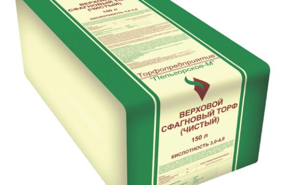Клупп трубный для нарезания резьбы: что это такое и зачем он нужен?