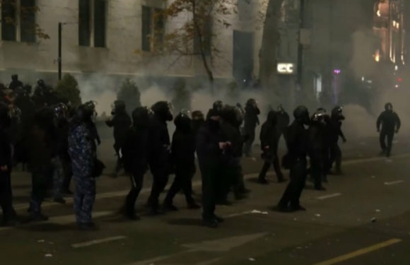 Акция протеста на проспекте Руставели в Тбилиси завершилась