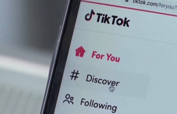 Албания заблокирует доступ к TikTok с 2025 года