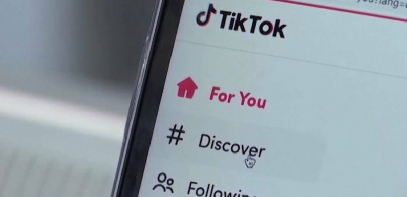 Албания заблокирует доступ к TikTok с 2025 года