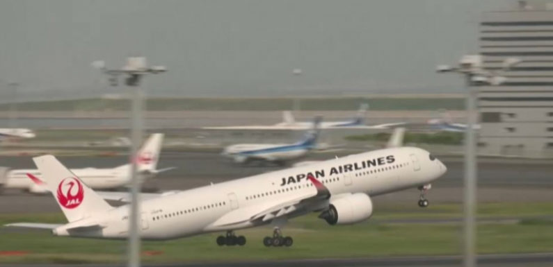 Japan Airlines подверглась кибератаке