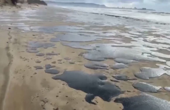 На побережье Чёрного моря ликвидируют последствия разлива нефтепродуктов