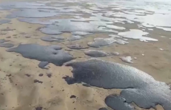 Режим ЧС федерального уровня ввели из-за мазута в Черном море