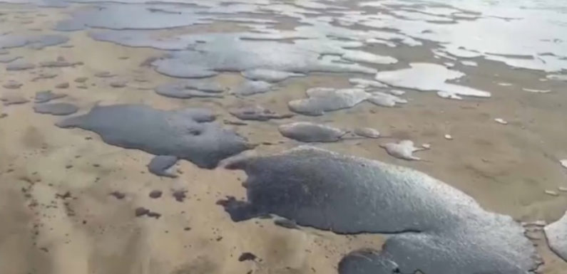 Режим ЧС федерального уровня ввели из-за мазута в Черном море