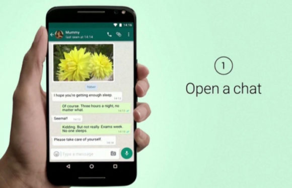Сотрудникам правительства Шотландии запретят использовать WhatsApp