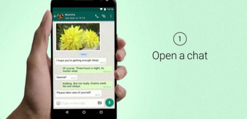 Сотрудникам правительства Шотландии запретят использовать WhatsApp
