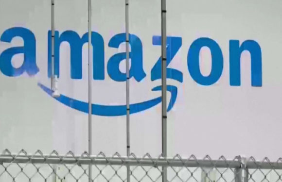 Сотрудники Amazon в США объявили забастовку перед Рождеством