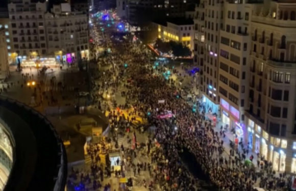 Тысячи людей вышли на акцию протеста в испанской Валенсии