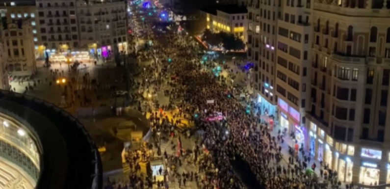 Тысячи людей вышли на акцию протеста в испанской Валенсии