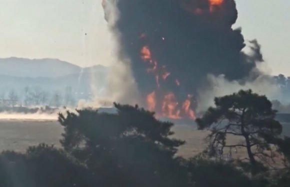 Yonhap: все пассажиры, кроме двоих, предварительно погибли при крушении боинга в Южной Корее