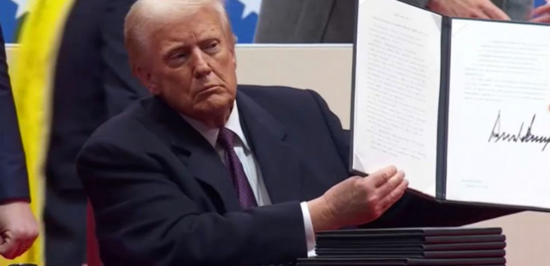 22 штата подали иски против указа Трампа об отмене гражданства США по праву рождения