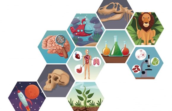 5 bioxakov dlya produktivnosti