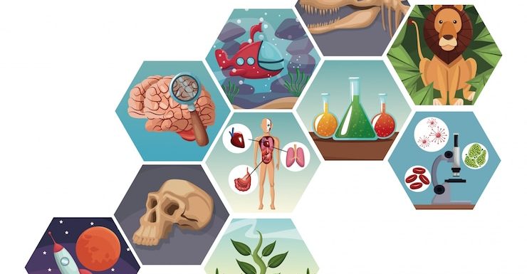 5 bioxakov dlya produktivnosti