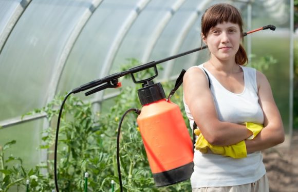 Natural garden pesticides