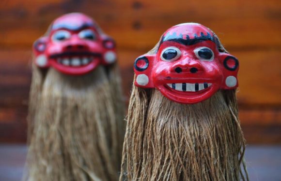 Что такое Shisa kanko и его значение для культуры