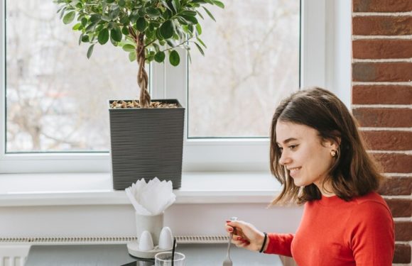 Как успешно работать в одиночку