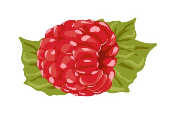 Raspberry pi zero w