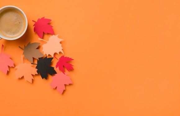 Обзор обновления Fall Creators для Windows 10