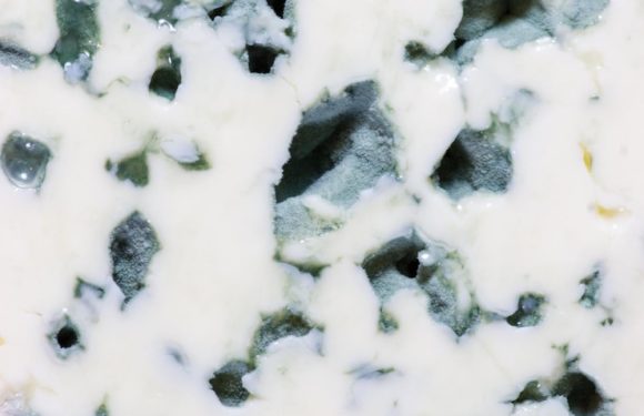 Marbled milk paper