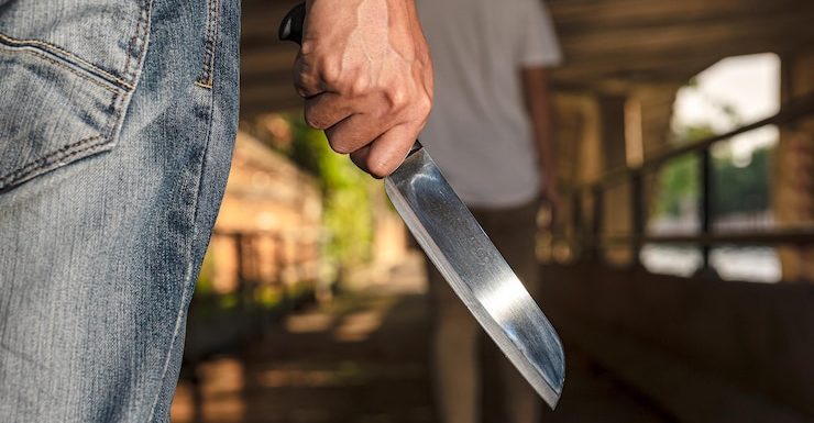 История и виды ножей их применение в повседневной жизни