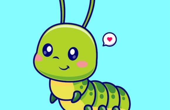 Caterpillar