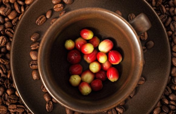 Cascara coffee