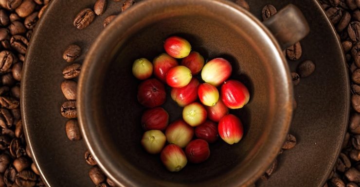 Cascara coffee