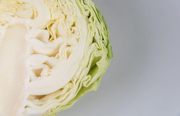 Kvashenaya kapusta