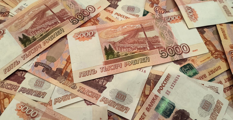 Председатель родительского комитета умыкнула 200 тысяч из общей кассы
