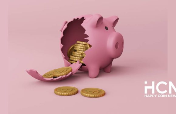 Bitwise: всего за 3 месяца появилось 48 новых биткоин-казначейств