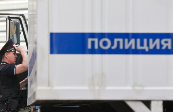 В российском регионе воробьев ловили сетями «на обед»