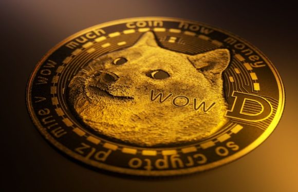 Компания 21Shares запустила второй в США спотовый ETF на Dogecoin