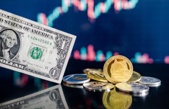 Компания CleanCore Solutions добавила в казну более 710 млн Dogecoin