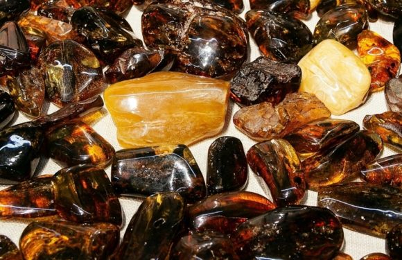 В куске янтаря нашли древнейшую личинку комара