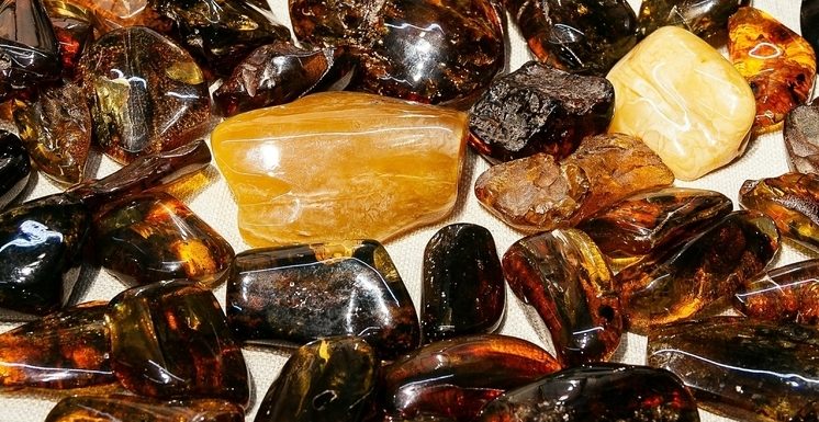 В куске янтаря нашли древнейшую личинку комара