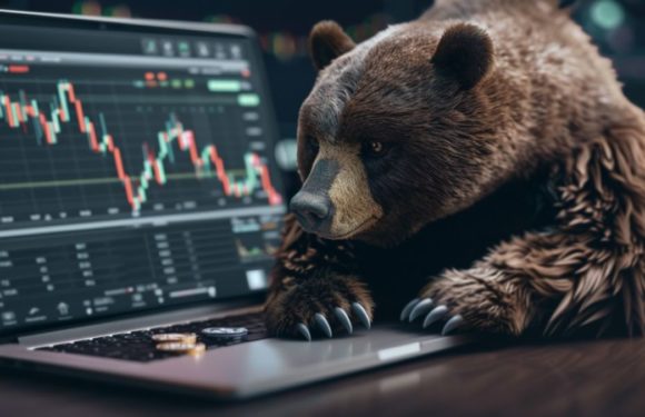 Среди трейдеров на бирже Binance бытуют медвежьи настроения