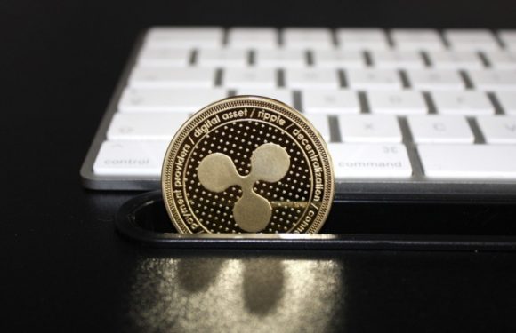 CEO Ripple: банки не используют XRP из-за недостаточной конфиденциальности
