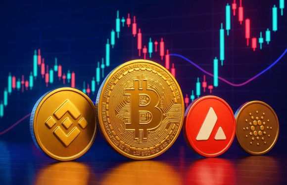 BNB и AVAX растут вслед за BTC, Cardano пока отстаёт