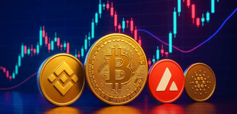 BNB и AVAX растут вслед за BTC, Cardano пока отстаёт