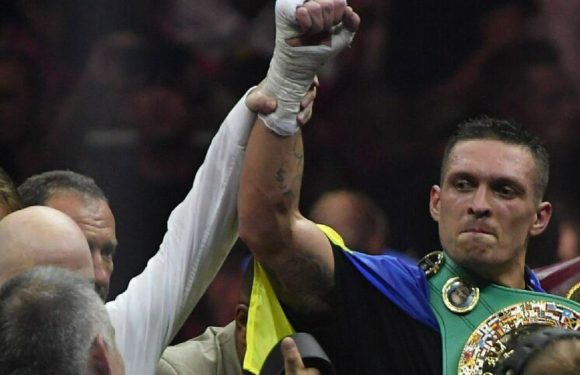 Непобедимый боксер с Украины отказался от титула чемпиона WBO