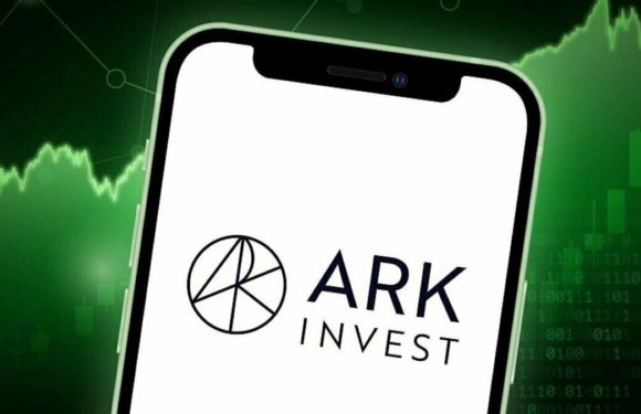 ARK Invest завершила неделю покупками биткоин-ETF, Bullish, Circle, BitMine