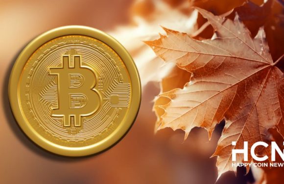 На рынке биткоина усилился медвежий тренд, но отскок не исключается