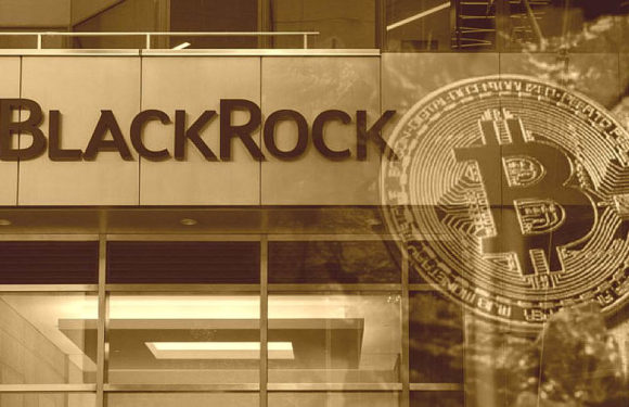 В ноябре спотовый биткоин-ETF BlackRock потерял около $2,2 млрд