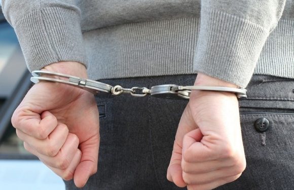 Китаец пытался вывезти из России 15 слитков с золотом