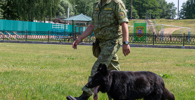 Дружественная России страна выразила готовность разместить миротворцев на Украине