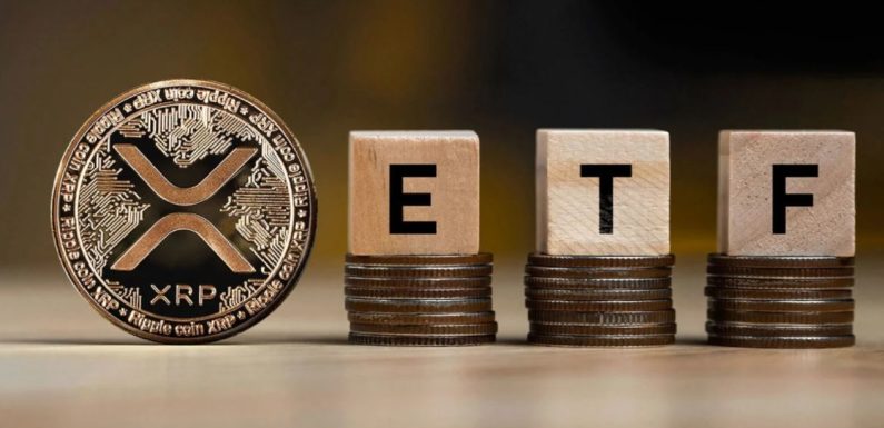 Canary Capital планирует запустить XRP-ETF 13 ноября после внесения изменений в заявку