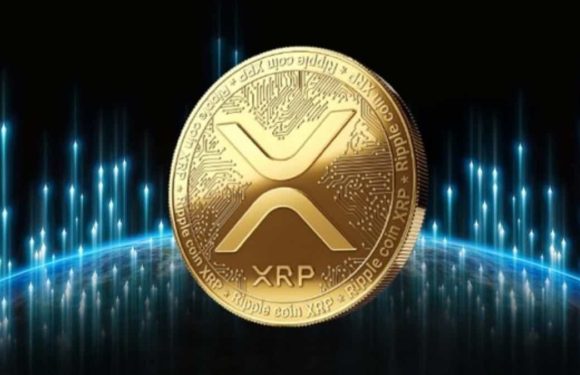 ETF на основе XRP поставил рекорд по объёму торгов в первый день