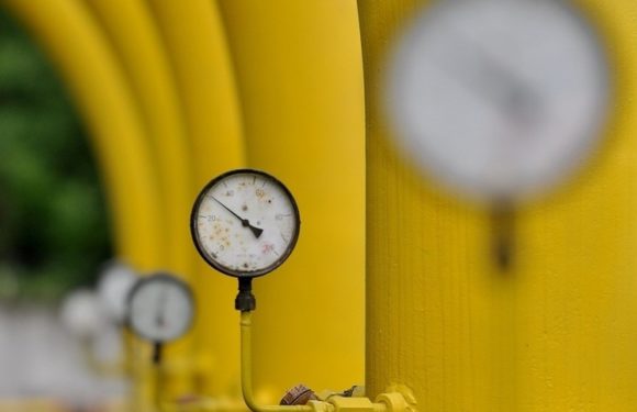 В ЕС рассказали о перспективах снятия запрета на импорт газа из РФ