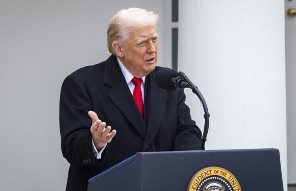 Трамп раскрыл, как Зеленский относится к проекту мирного урегулирования