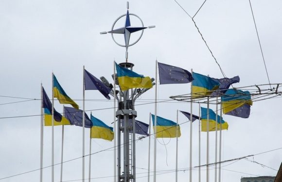 Экс-глава МИД Югославии назвал причастных к организации атаки на резиденцию Путина